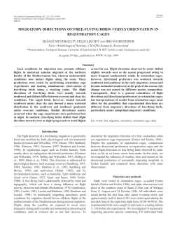 Orientation cages versus radar observations