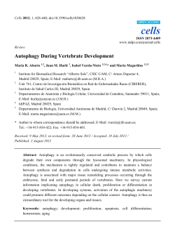 Autophagy During Vertebrate Development