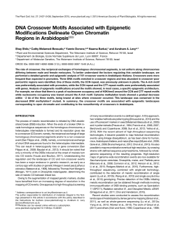 DNA Crossover Motifs Associated with Epigenetic