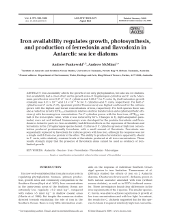 Iron availability regulates growth, photosynthesis, and production of