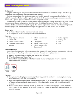 How Do Enzymes Work?