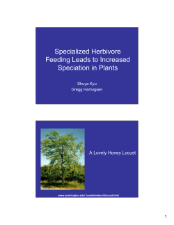 Specialized herbivore feeding leads to increased speciation in plants