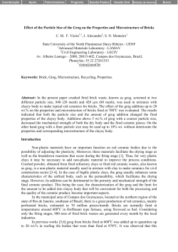Effect of the Particle Size of the Grog on the Properties
