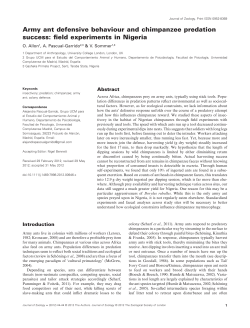 Army ant defensive behaviour and chimpanzee predation