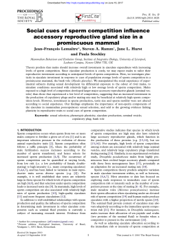 Social cues of sperm competition influence accessory reproductive