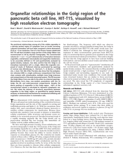 Organellar relationships in the Golgi region