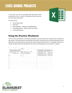 excel basics: projects