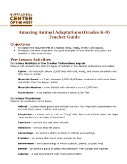 Amazing Animal Adaptations (Grades K