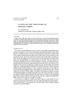 a note on the structure of spindle fibres