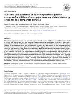 Sub-zero cold tolerance of Spartina pectinata (prairie cordgrass