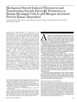 Mechanical Stretch-Induced Fibronectin and