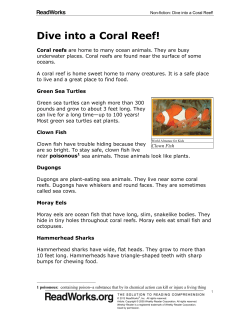 Dive into a Coral Reef! - Covington Independent Public Schools