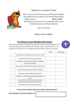 The Beaver Scout Membership Award