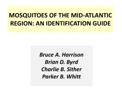 Mosquitoes of Mid-Atlantic Region_Harrison