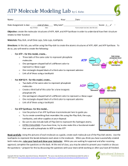 ATP Molecule Modeling Lab by C