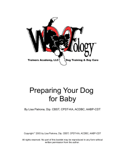 Preparing Your Dog for Baby