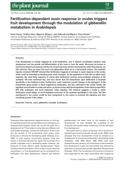 Fertilization-dependent auxin response in ovules triggers fruit