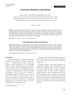 A Geometric Modeling of Dog Intestine