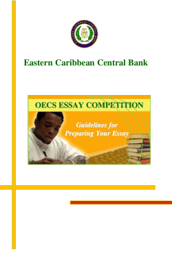 Guidelines for Preparing Your Essay