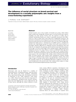 The influence of social structure on brood survival and development