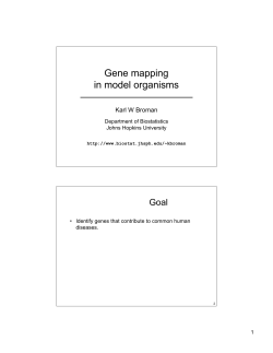 Gene mapping in model organisms