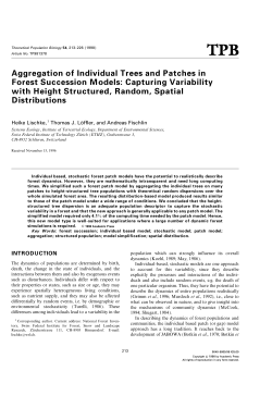 Aggregation of Individual Trees and Patches in Forest Succession