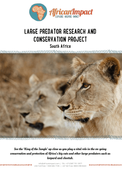 See the `King of the Jungle` up close as you play a vital role in the on