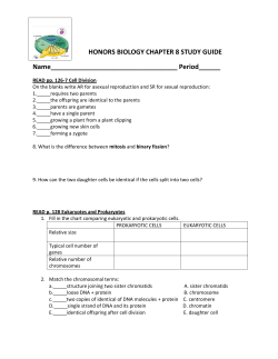 Honors Biology Chapter 8 Study Guide