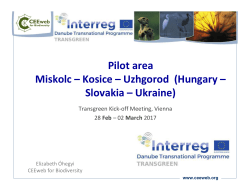 Pilot area Miskolc &ndash; Kosice &ndash; Uzhgorod (Hungary &ndash; Slovakia