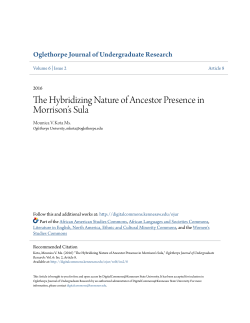 The Hybridizing Nature of Ancestor Presence in Morrison`s Sula