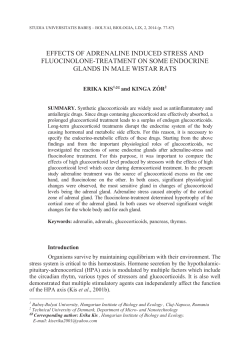 effects of adrenaline induced stress and fluocinolone