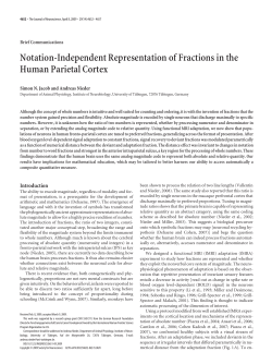 Notation-Independent Representation of Fractions in the Human