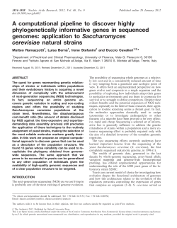 computational pipeline to discover highly phylogenetically