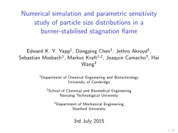 Numerical simulation and parametric sensitivity study of particle size