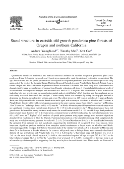 Stand structure in eastside old-growth ponderosa pine