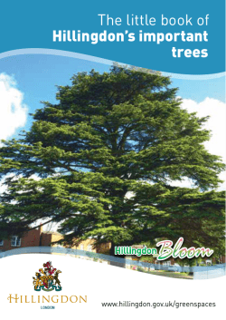 Hillingdon`s important Trees - London Borough of Hillingdon
