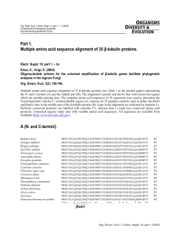 Part 1. Multiple amino acid sequence alignment of 35 &beta;