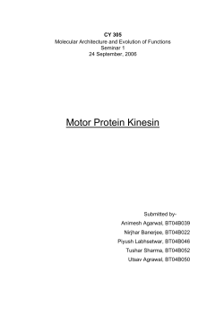 Microtubules: Structure and Function