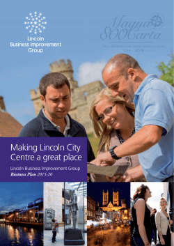 Lincoln BIG Business Plan 2015-2020
