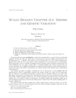 Human Biology Chapter 13.4: Meiosis and Genetic