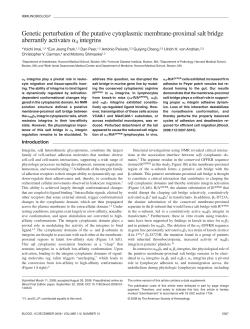 Genetic perturbation of the putative cytoplasmic membrane