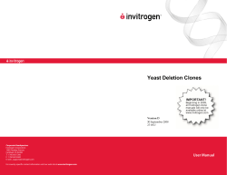 Human Yeast Artificial Chromosome Clone