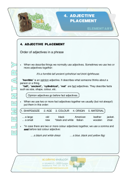 elementary - Academia Evoluci&oacute;n