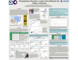 Phytoplankton Diversity in Lakes of the McMurdo Dry Valleys