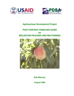 Agribusiness Development Project POST HARVEST
