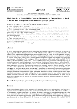 Preview - Magnolia press