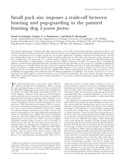 Small pack size imposes a trade-off between