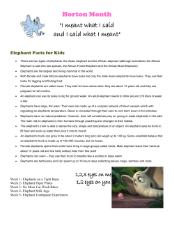 Horton Month - Faith Academy