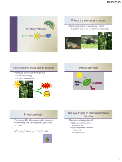 Photosynthesis