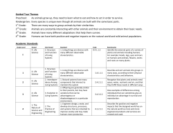 Guided Tour Themes Preschool: As animals grow up, they need to
